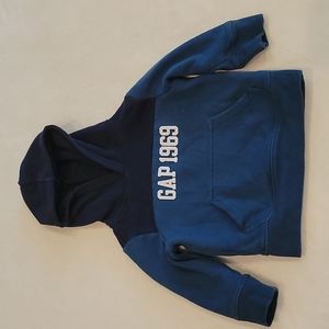 Baby Gap Pullover Hoodie